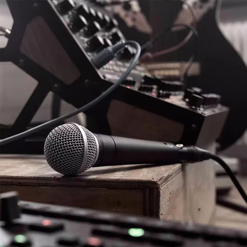 Karaoke Dynamic Microphone Pro - огляд і ціна Pc Gaming Live Streaming